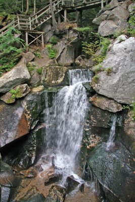 IMG_0318_edited-1.jpg