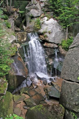 IMG_0321_edited-1.jpg