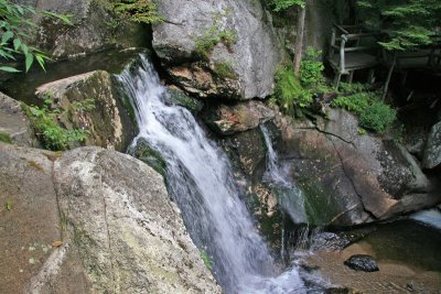 IMG_0325_edited-1.jpg