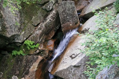 IMG_0345_edited-1.jpg