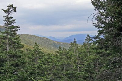 IMG_0349_edited-1.jpg