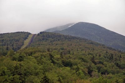 IMG_0377_edited-1.jpg
