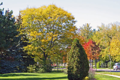 victoria_park