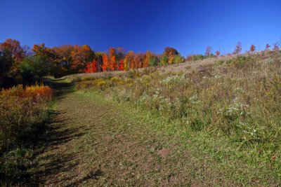 IMG_1164_edited-1.jpg
