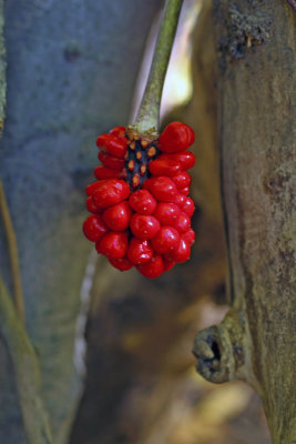 IMG_1277_edited-1.jpg