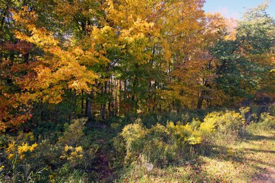 IMG_1284_edited-1.jpg