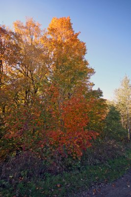IMG_1292_edited-1.jpg