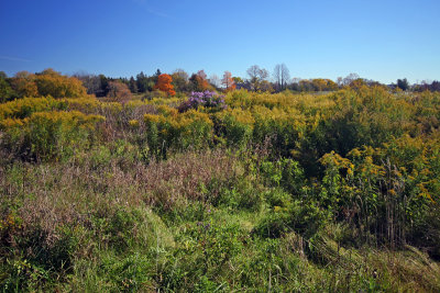 bechtel_park