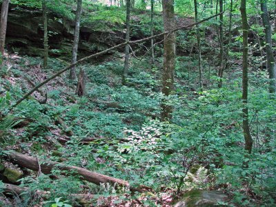 mammoth_cave_park