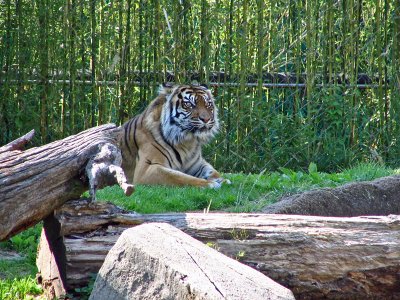 IMG_0370_edited-1.jpg