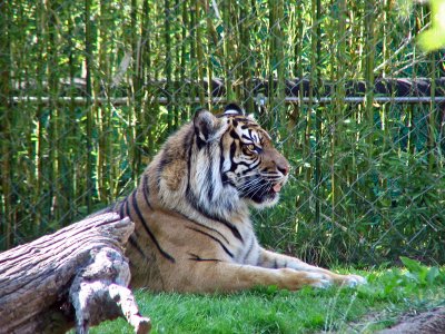 IMG_0371_edited-1.jpg