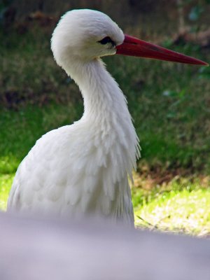 IMG_0373_edited-1.jpg