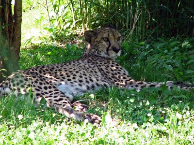 IMG_0378_edited-1.jpg