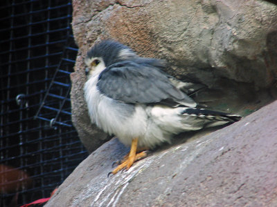 IMG_0386_edited-1.jpg