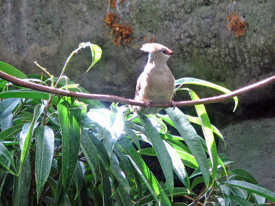 IMG_0406_edited-1.jpg