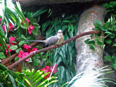 IMG_0407_edited-1.jpg