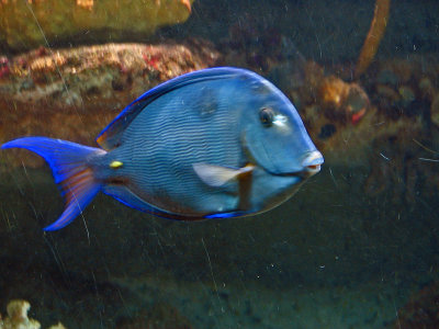 IMG_0429_edited-1.jpg