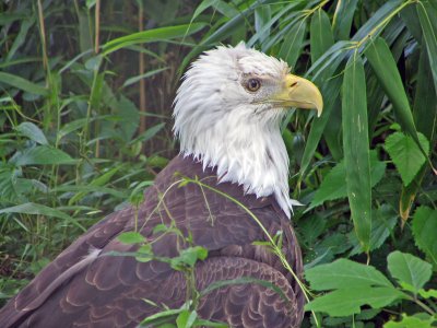 IMG_0500_edited-1.jpg