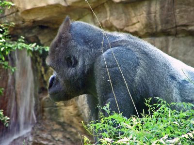 IMG_0504_edited-1.jpg