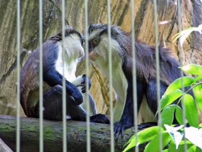 IMG_0516_edited-1.jpg