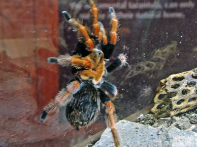 IMG_0490_edited-1.jpg