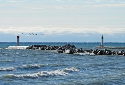 IMG_2465_edited-1.tif