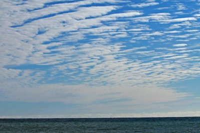 IMG_2474_edited-1.tif