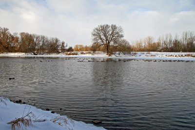 IMG_2641_edited-1.jpg