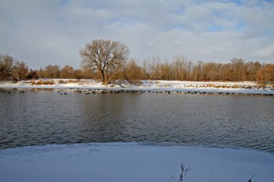 IMG_2645_edited-1.jpg
