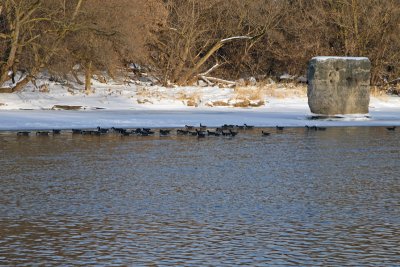 IMG_2649_edited-1.jpg