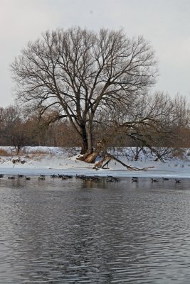IMG_2651_edited-1.jpg