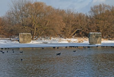 IMG_2654_edited-1.jpg