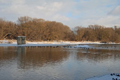 IMG_2675_edited-1.jpg