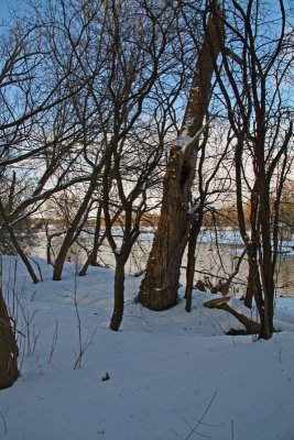 IMG_2807_edited-1.jpg