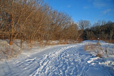 winter_scenes_2