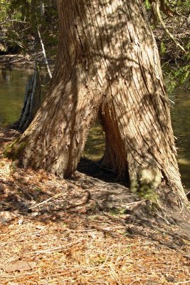 IMG_3279_edited-1.jpg