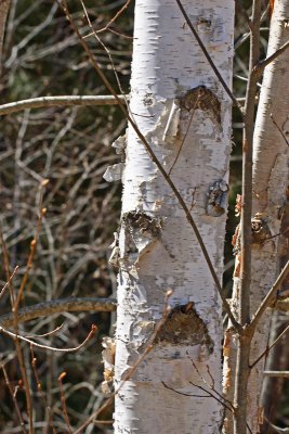 IMG_3670_edited-1.jpg