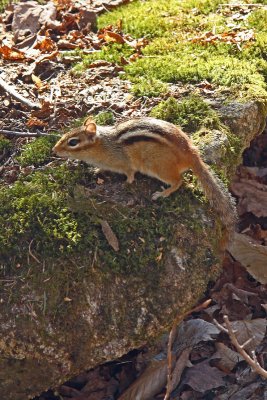IMG_3706_edited-1.jpg