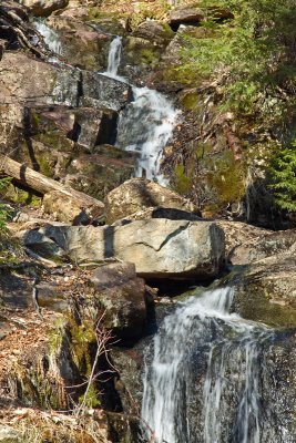 IMG_3711_edited-1.jpg