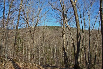 IMG_3720_edited-1.jpg