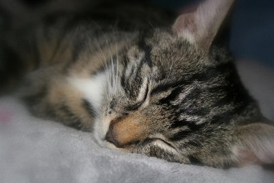 Sleepy patch