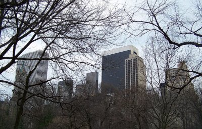 100_0479.jpg