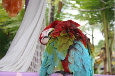 IMG_3766.JPG