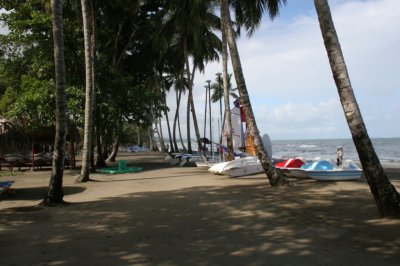 IMG_3786.JPG
