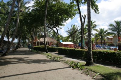IMG_3788.JPG