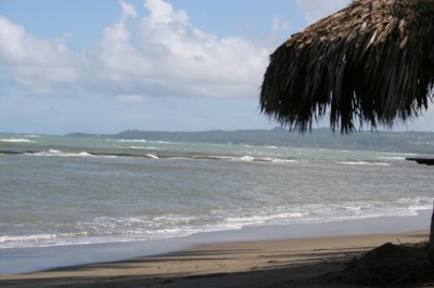 IMG_3789.JPG