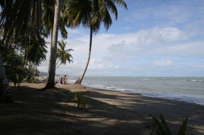 IMG_3792.JPG