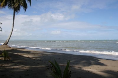 IMG_3794.JPG