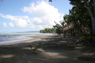 IMG_3800.JPG