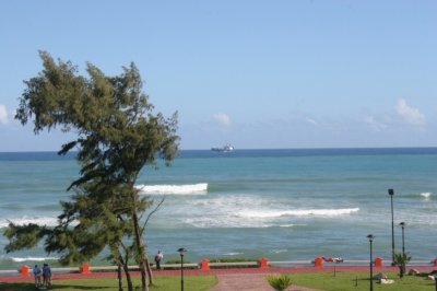 IMG_3854.JPG